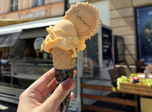 Aktuality - Nejlepší domácí zmrzlina v Olomouci!